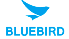 Bluebird