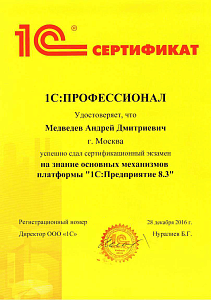 Медведев ПРОФ по платформе