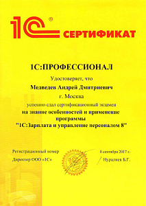 Медведев ПРОФ по ЗУП